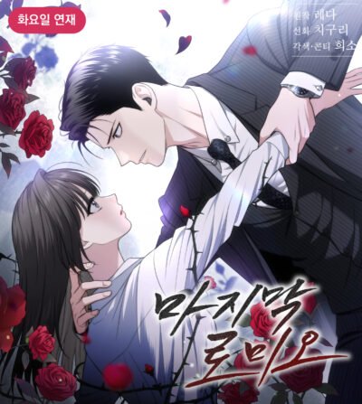 The Last Romeo Cover
